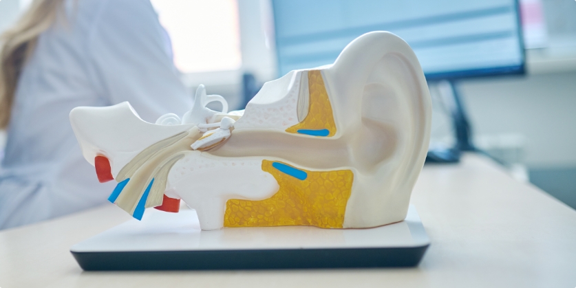 Grusecki Audiology and Hearing Aid Services Blog